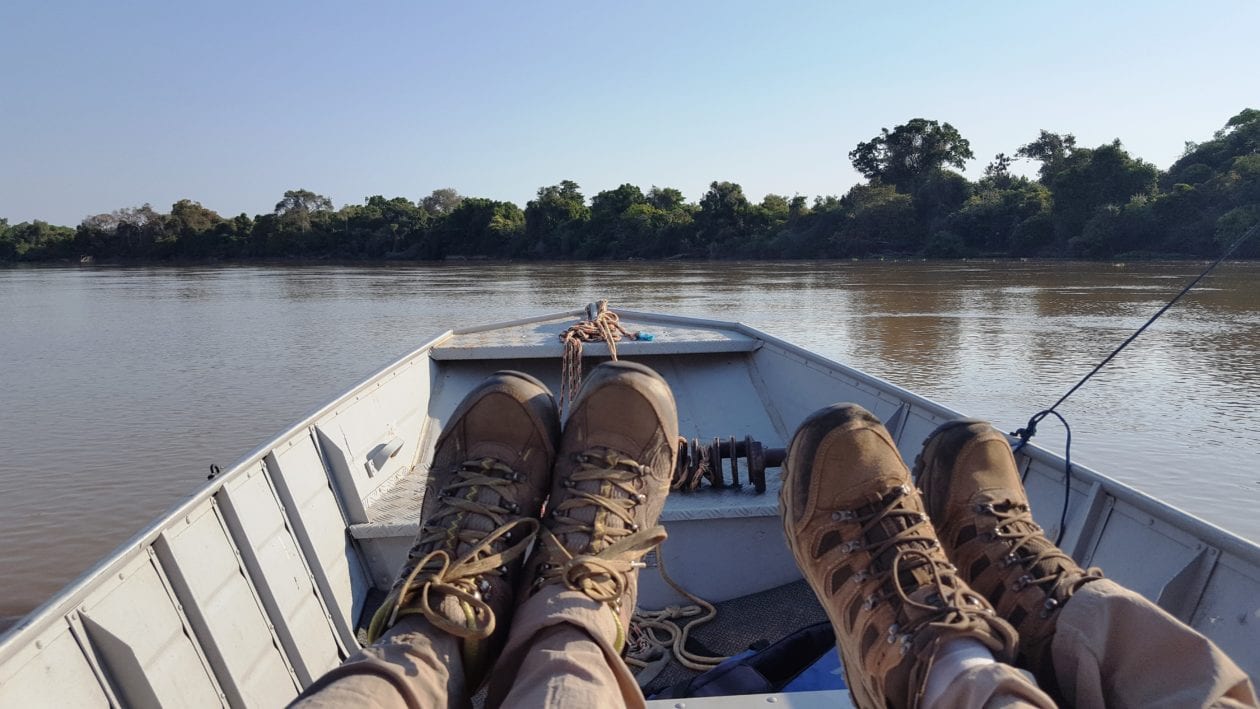 Travel Tips for Pantanal Brazil Travel Tips 