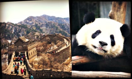 Top 10 Must do things in Beijing - Travel China Asia Beijing China My Escapades 